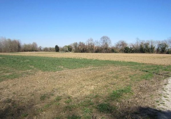 terreno agricolo in vendita a Venezia