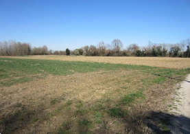 terreno agricolo in vendita a Venezia in zona Favaro Veneto