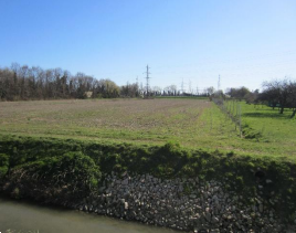 terreno agricolo in vendita a Venezia in zona Marghera