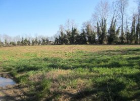 terreno agricolo in vendita a Venezia in zona Mestre