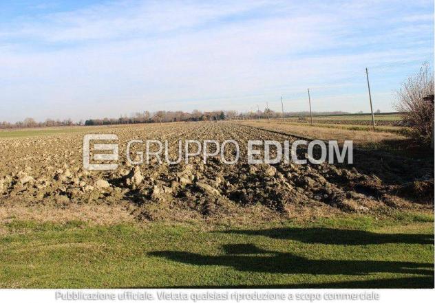 terreno edificabile in vendita a Venezia in zona Tessera