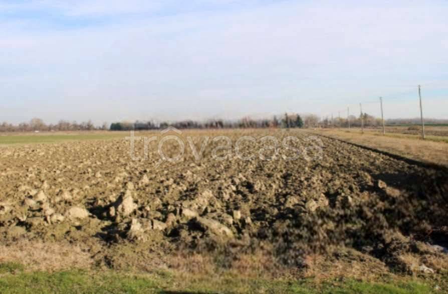 appartamento in vendita a Venezia in zona Favaro Veneto