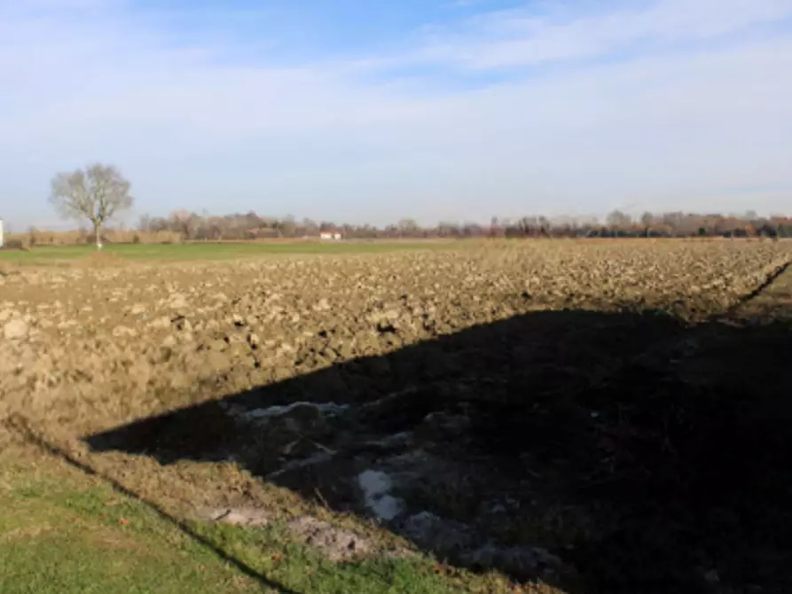 terreno agricolo in vendita a Venezia in zona Tessera