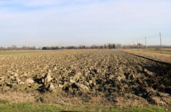 terreno agricolo in vendita a Venezia in zona Tessera
