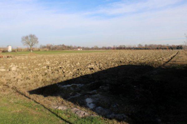 terreno agricolo in vendita a Venezia in zona Tessera