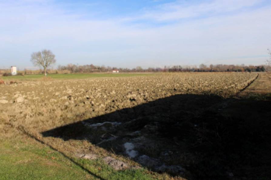 terreno agricolo in vendita a Venezia in zona Tessera
