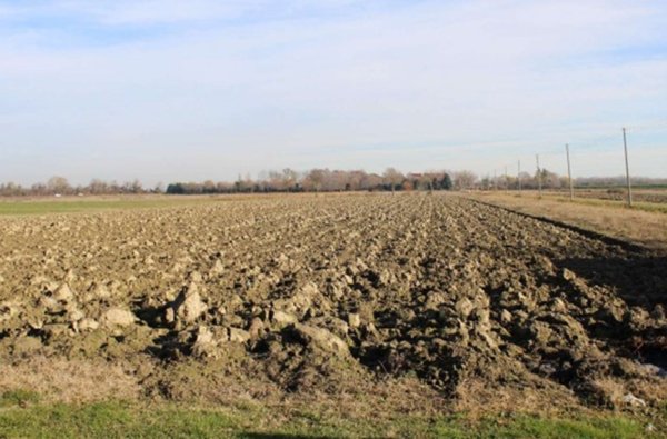 terreno agricolo in vendita a Venezia in zona Tessera