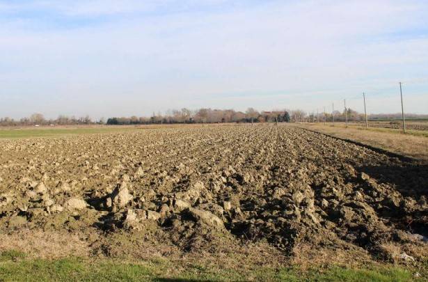 terreno agricolo in vendita a Venezia in zona Tessera