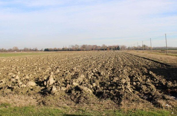 terreno agricolo in vendita a Venezia in zona Tessera