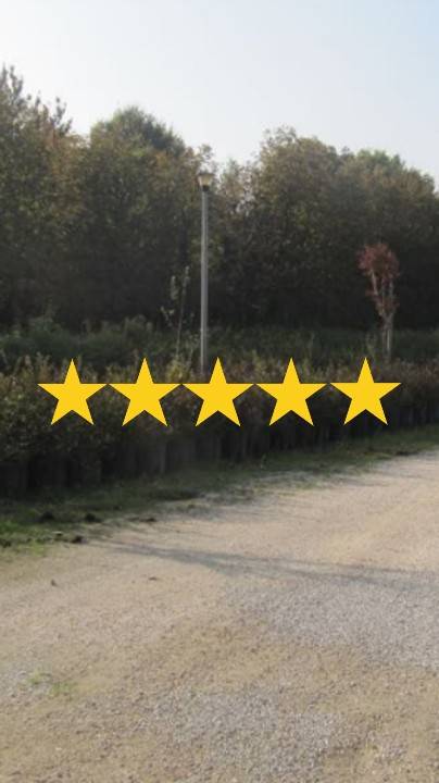 appartamento in vendita a Venezia in zona Favaro Veneto