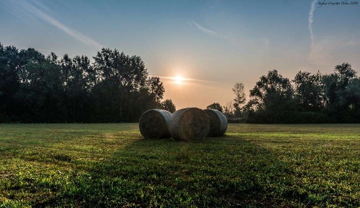 casa indipendente in vendita a Venezia in zona Trivignano