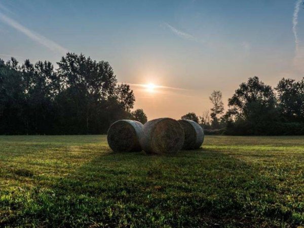 casa indipendente in vendita a Venezia in zona Trivignano