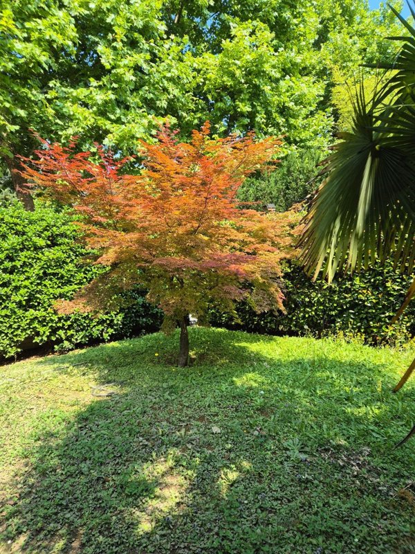 casa indipendente in vendita a Venezia in zona Mestre
