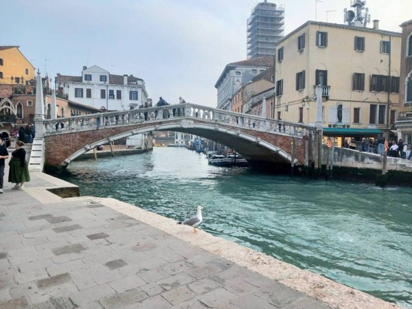 appartamento in vendita a Venezia