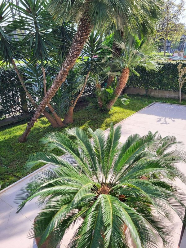 casa indipendente in vendita a Venezia in zona Lido di Venezia