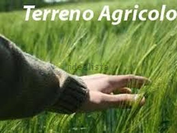 terreno agricolo in vendita a Venezia in zona Favaro Veneto