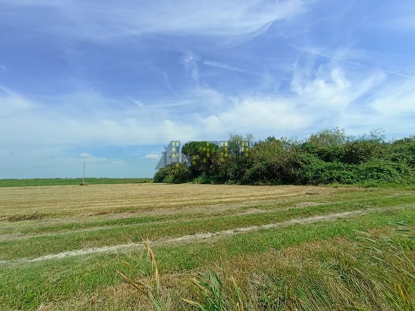 terreno agricolo in vendita a Venezia in zona Favaro Veneto