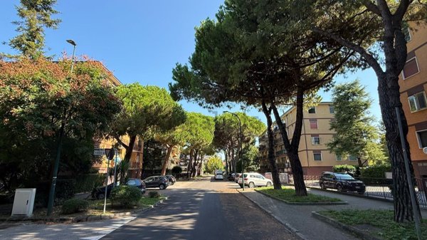 appartamento in vendita a Venezia in zona Carpenedo