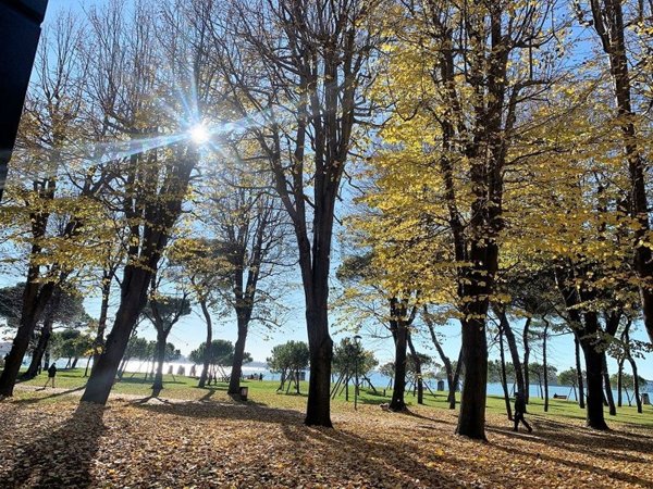 appartamento in vendita a Venezia