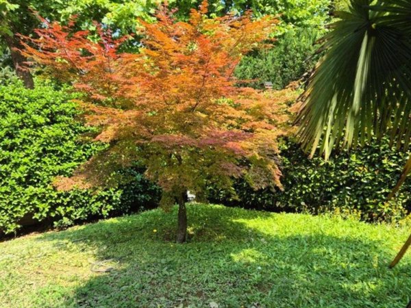 casa indipendente in vendita a Venezia in zona Dese