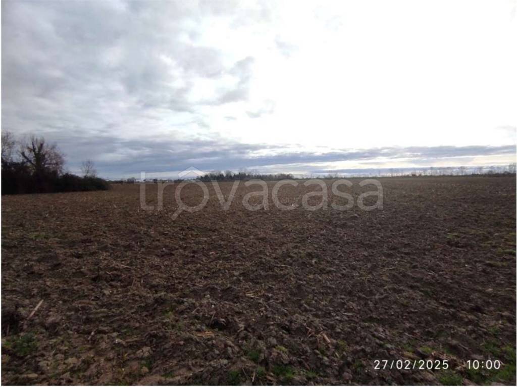 appartamento in vendita a Venezia in zona Favaro Veneto