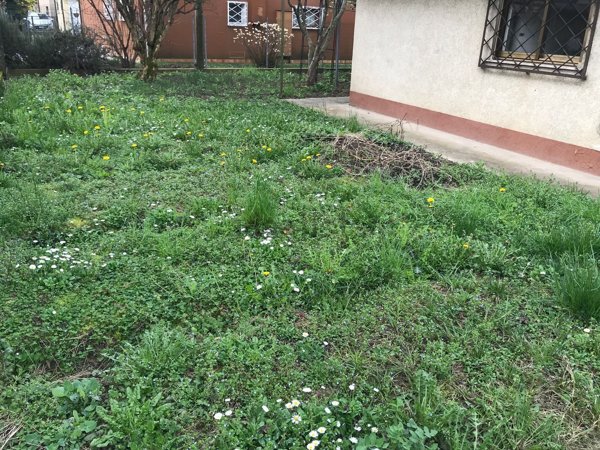 casa indipendente in vendita a Venezia in zona Mestre