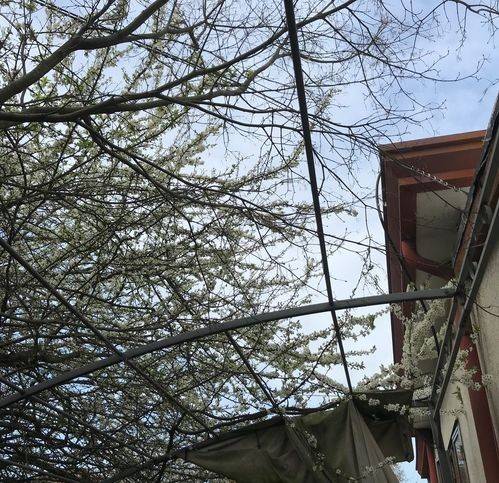 casa indipendente in vendita a Venezia in zona Mestre