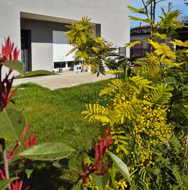 quadrivano in vendita a Venezia in zona Favaro Veneto