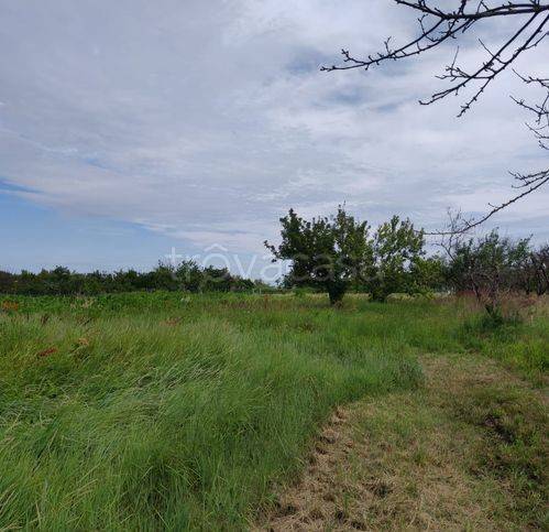 casa indipendente in vendita a Venezia in zona Sant'Erasmo