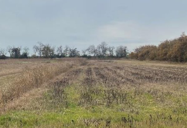 terreno agricolo in vendita a Venezia in zona Dese