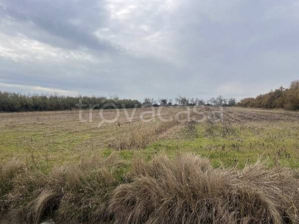 appartamento in vendita a Venezia in zona Favaro Veneto