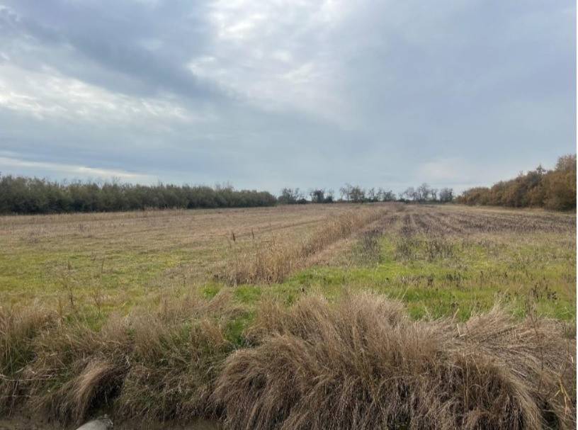 terreno agricolo in vendita a Venezia in zona Favaro Veneto