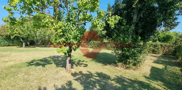 terreno agricolo in vendita a Venezia in zona Pellestrina