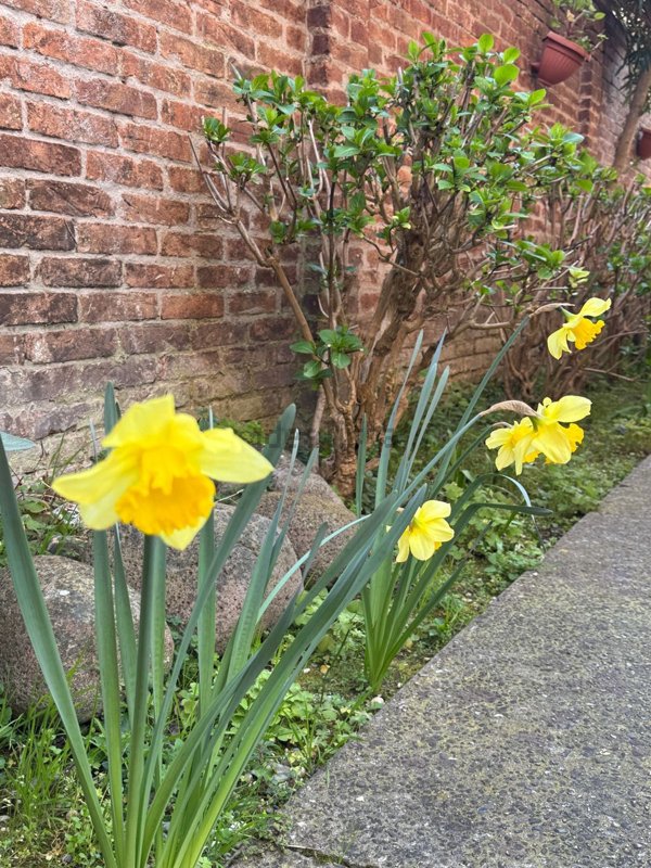 appartamento in vendita a Venezia in zona Lido di Venezia