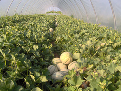 appartamento in vendita a Venezia in zona Sestiere San Polo