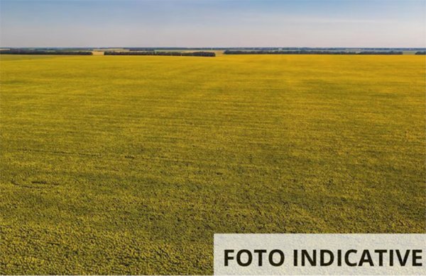 terreno edificabile in vendita a Venezia in zona Marghera