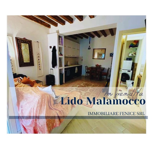 appartamento in vendita a Venezia in zona Lido di Venezia