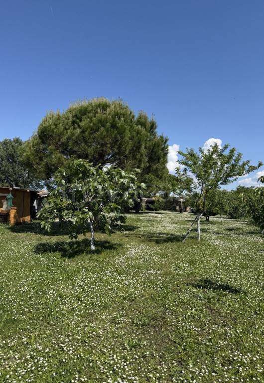 terreno in vendita a Venezia in zona Burano