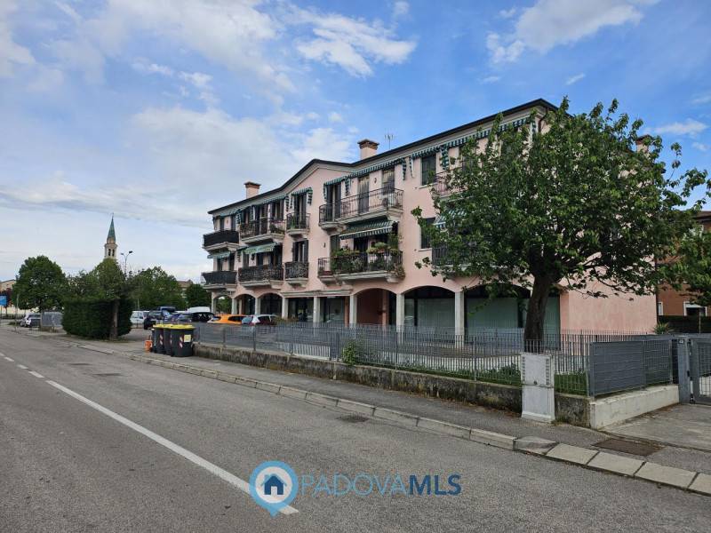 appartamento in vendita a Vigonovo