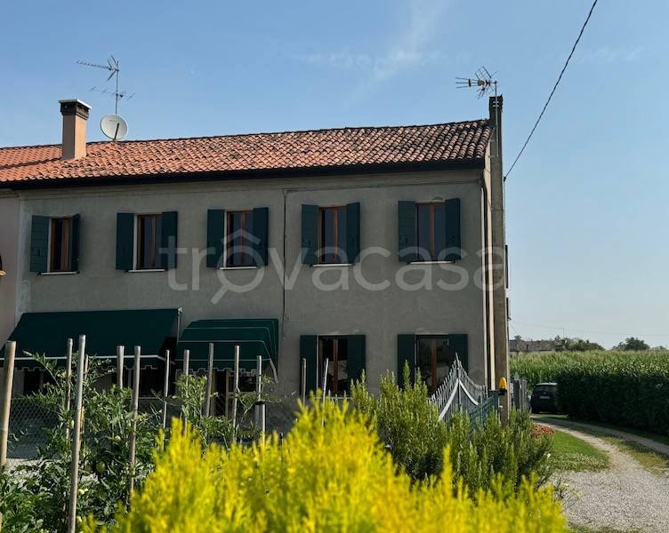 casa indipendente in vendita a Vigonovo