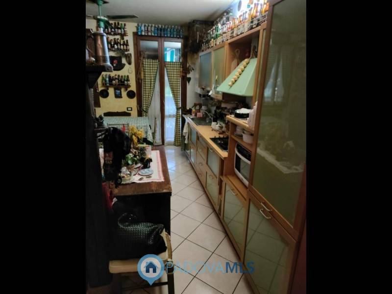 appartamento in vendita a Vigonovo