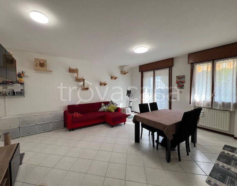 appartamento in vendita a Vigonovo