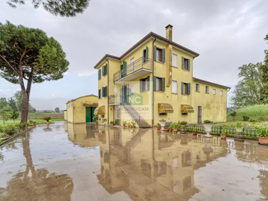 casa indipendente in vendita a Vigonovo