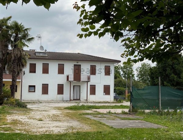 casa indipendente in vendita a Vigonovo