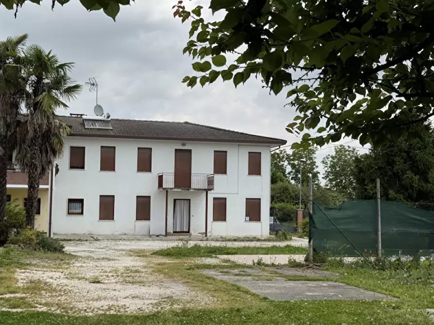 casa indipendente in vendita a Vigonovo