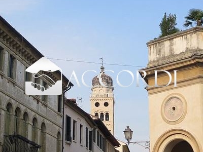 appartamento in vendita a Vigonovo