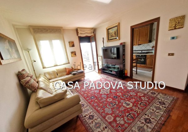 appartamento in vendita a Vigonovo