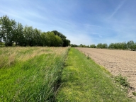 terreno agricolo in vendita a Vigonovo in zona Galta