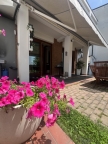 casa indipendente in vendita a Vigonovo