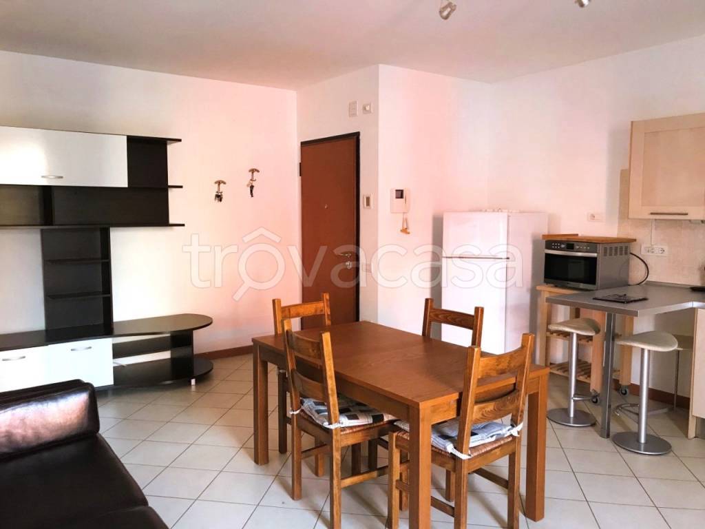 appartamento in vendita a Vigonovo